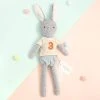 Albetta 3rd Birthday Bunny Toy
