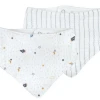 Albetta Space Bib Set